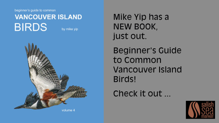 Mike Yip has a new book!